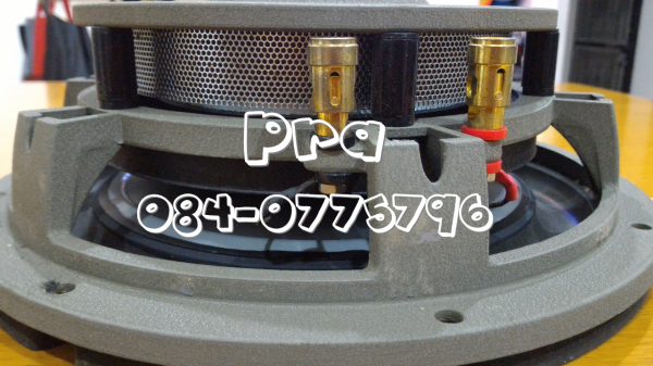 ซับวูฟเฟอร์ Bostwick (BOS-WF10) แบบบางค่ะ ซับวูฟเฟอร์ Bostwick (BOS-WF10) แบบบางค่ะ