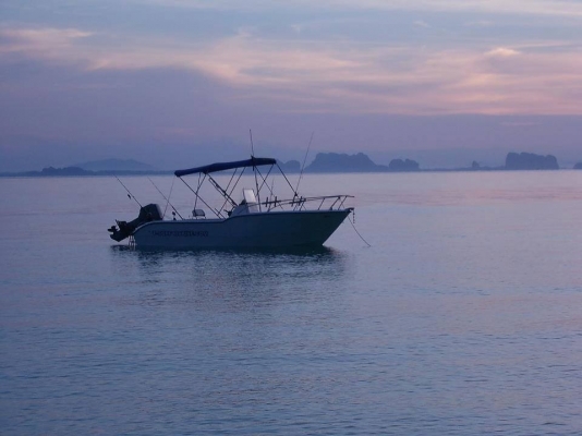 ขายเรือโมลบอยทีเซิร์ฟ 18 ฟุต เครื่องซูซูกิ 85 แรงพร้อมเทรเลอร์