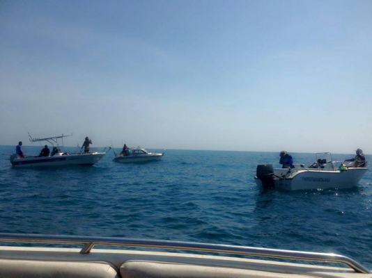 ขายเรือโมลบอยทีเซิร์ฟ 18 ฟุต เครื่องซูซูกิ 85 แรงพร้อมเทรเลอร์