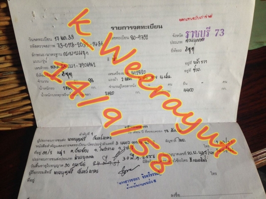 รถบรรทุก 4 ล้อ ISUZU NKR NEW ELF