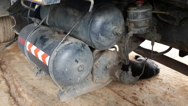 ขายด่วน 10ล้อพื้นเรียบ HINO F17 เครื่องEH700 จิฟฟี่้่พาวเวอร์ แอร์ ยางดี10เส้นเครื่องดีคัชชีดี ขายด่วน 10ล้อพื้นเรียบ HINO F17 เครื่องEH700 จิฟฟี่้่พาวเวอร์ แอร์ ยางดี10เส้นเครื่องดีคัชชีดี