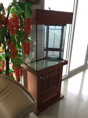 ขายตู้ปลา+ชุดเฟอร์ 24"