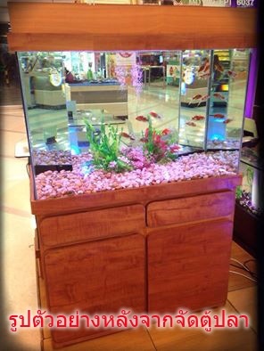 ขายตู้ปลา+ชุดเฟอร์ 24"