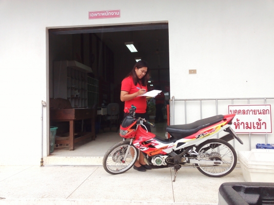 ขาย เเดช125 ตัวใหม่ รถพร้อมใช้งาน มีเล่มทะเบียน ภาษีขาดเกิน 3 ปี(ชุดโอนกำลังตามให้อยู่ครับ) ค่าตัว 5900 บาท สนใจทักเเชทหรือโทร.089-8054390 โอ๋ อยู่จังหวัด ลพบุรี