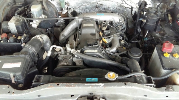 ขายไทเกอร์ 4x4 ขายไทเกอร์ 4x4