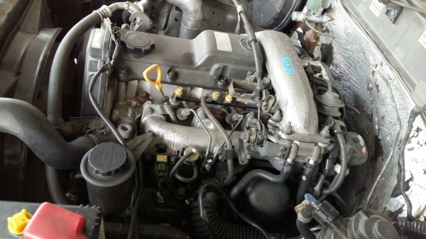 ขายไทเกอร์ 4x4 ขายไทเกอร์ 4x4