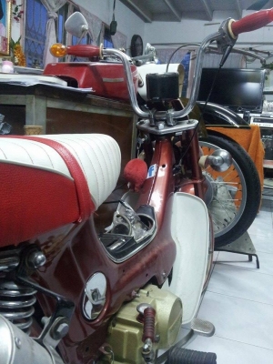 ขาย ชาลีแต่งยุ่น สีสวยสด รถทำมาจอดคับผม