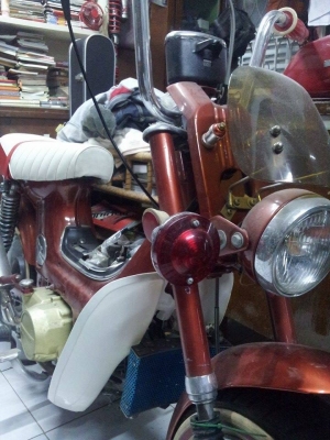 ขาย ชาลีแต่งยุ่น สีสวยสด รถทำมาจอดคับผม