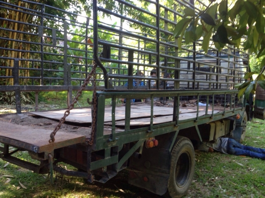 ขายหกล้อกระบะคาร์โก้ 110