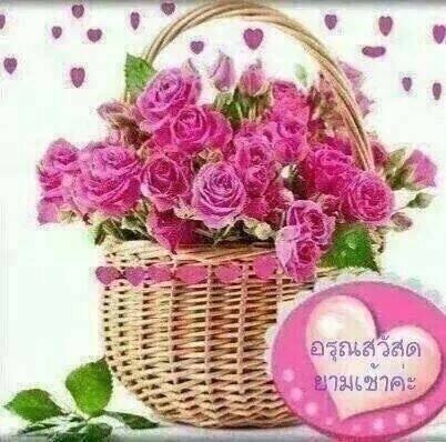 ขายผานพรวนตราช้าง6*22 พร้อมใช้งาน 19000 บาท