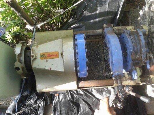 ขายเครื่องต๊าฟเกลียว