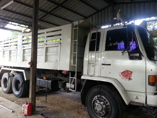 อีซูซุ  175   เครื่องเดิม   เกีรยร์เดิม  แคชซีไม่มีบวม