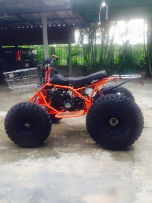 ขาย ATV สายพนธ์ไทย