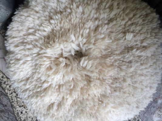 ขาย เครื่องขัดสี Makita ขาย เครื่องขัดสี Makita