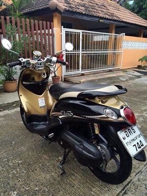 ฟีโน่เกร์แยก ปี 55