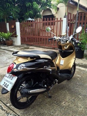 ฟีโน่เกร์แยก ปี 55