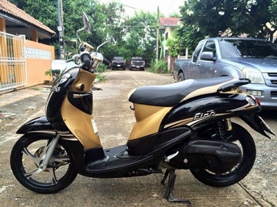 ฟีโน่เกร์แยก ปี 55