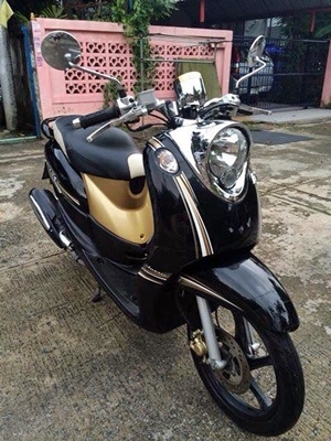 ฟีโน่เกร์แยก ปี 55