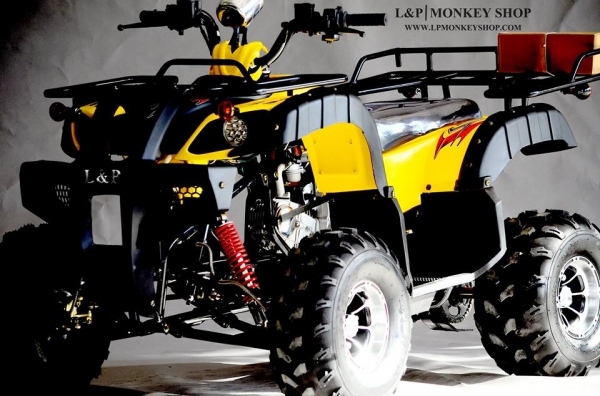 จัดโปรใหม่  BIG BEAR 125 cc ลดราคาพิเศษคุ้มสุดๆ ราคาเริ่มต้นที่...a