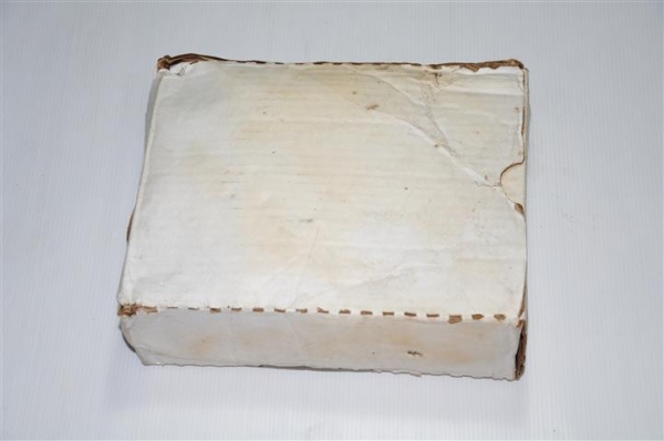 เครื่องตรวจจับควันในท่อ SM-501-P SERIES DUCT SMOKE DETECTORS