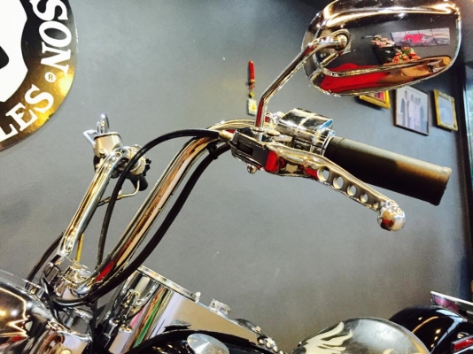 Harley davidson heritage softail evo 1HD