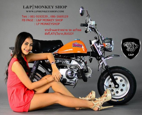 !!! จัดโปรโมชั่น มังกี้ กอลิล่าเดิม ลดราคา มังกี้ อะไหล่ลด 40 \% ลดราคา ราคา เริ่มต้นที่....... ราคา โรงงาน ถูกกว่า ท้องตลาด.