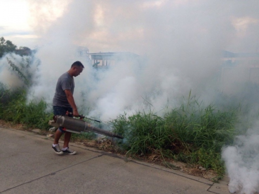 ขายเครื่องพ่นยุงมือสอง พร้อมใช้ สวิงฟ็อกซ์ SN50 (Swingfog SN50)