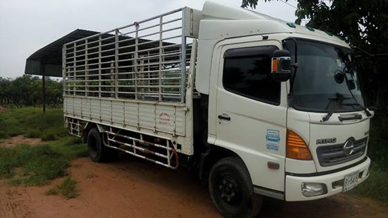 ขายรถ6ล้อ HINO MEGA ปี53 เครื่องJO5C ยาว5.50เมตร เครื่องดีแคชซีสวย ยางดี ภายในสวย แอร์เย็น สภาพพร้อมใช้งาน เอกสารพร้อมโอน สนใจโทร 090-8588220คุณนะ 093-3258446คุณบิว หรือเข้าดูสินค้าอื่นๆได้ที่ www.truck.in.th/498 หรือเพจFacebook ณรงค์ ซื้อขายรถมือสอง (เว็