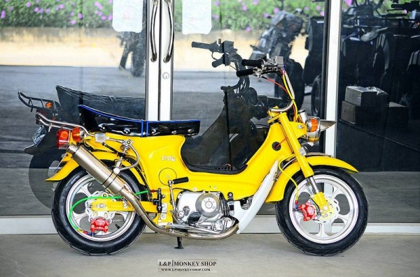 ชาลีแต่ง  มังกี้ กอลิล่าแต่ง มีมากกว่า 100++ แบบ โครง cnc รวมของแต่ง เพียบ ราคาเริ่มต้น.........