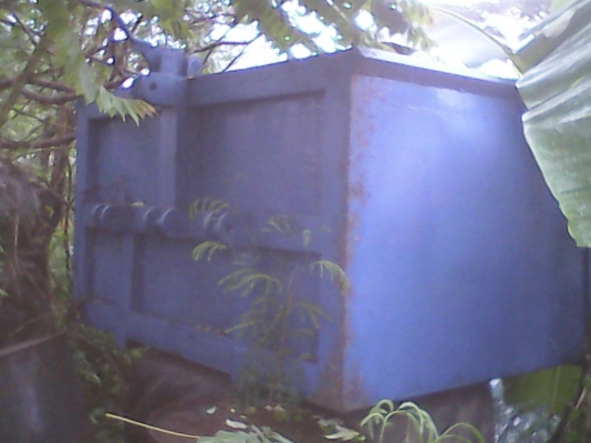 ตัวตักปุ๊ย ตัวตักปุ๊ย