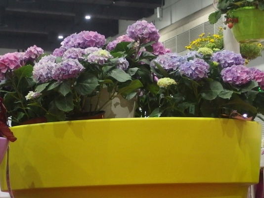 ขาย แ ล้ ว ข อ บ คุ ณ ผู้ ซื้ อ ขาย แ ล้ ว ข อ บ คุ ณ ผู้ ซื้ อ