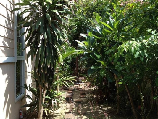 ขายบ้านลลิล อินเดอะพาร์ค พระราม2-เอกชัย ซอยเอกชัย131 ขนาด 43.4 ตร.ว. ราคาขาดทุน ขายบ้านลลิล อินเดอะพาร์ค พระราม2-เอกชัย ซอยเอกชัย131 ขนาด 43.4 ตร.ว. ราคาขาดทุน