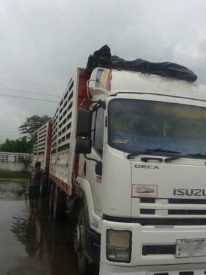 ขายอิซูซุFVZ 300แรง แม่ลูกพ่วง18ล้อไม่ดั้ม ขาย2พ่วง เครื่องแน่นดีไม่รั่วไม่เยิ้ม ช่วงล่างดี เซลซีสวย ไม่มีเบียด ไม่มีล้ม ไม่มีชน สภาพยางดี ภาษีไม่ขาด  พร้อมผ้าใบคลุมรถ รถสวยสภาดีพร้อมใช้