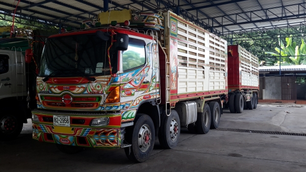 344ปี53ปลายปีแม่ลูกดั้มสวยพร้อมใช้งานครับ