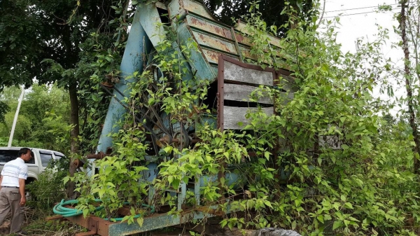 ขายรถอีแต๋นจัมโบ้ ยาง 900 คัสซี NISSAN UG สวยตลอดเส้น เครื่อง 6BB1 145 แรงม้า พร้อมตู้นวดข้าวไทยเส็ง 8 ฟุต