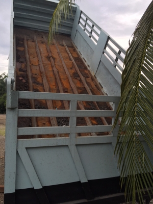 รถอีซูซุ 10 ล้อดั้ม FXZ  240 แรงม้า. ปี 39.  ( นางฟ้าแท้. )    สนใจติดต่อ  081 - 6079515