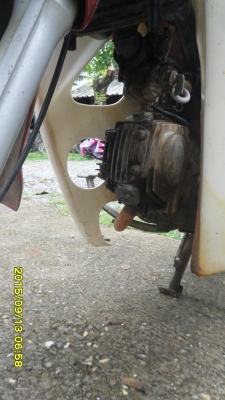 ขายดรีมตูดเป็ดเครื่องดีไฟติดทุกดวง ขายดรีมตูดเป็ดเครื่องดีไฟติดทุกดวง