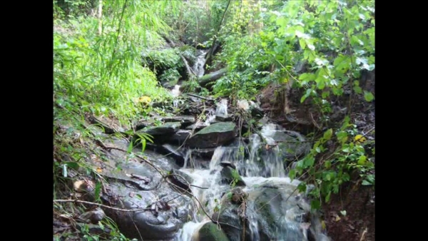 ขายที่ดินพร้อมบ้านพัก ภบท 5 ครอบครอง มา 20 ปี จำนวน 13 ไร่ เป็นรีสอรท์ มีบ้านพัก 6 หลัง บ้าน ☝ซับไทรทอง ต. วังนำ้เขียว อ.วังนำ้เขียว จ.นครราชสีมา ขายไร่ละ 1 ล้านบาท บรรยากาศดีมากๆครับ ติดต่อ 0889419663