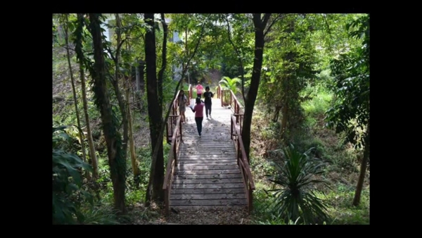 ขายที่ดินพร้อมบ้านพัก ภบท 5 ครอบครอง มา 20 ปี จำนวน 13 ไร่ เป็นรีสอรท์ มีบ้านพัก 6 หลัง บ้าน ☝ซับไทรทอง ต. วังนำ้เขียว อ.วังนำ้เขียว จ.นครราชสีมา ขายไร่ละ 1 ล้านบาท บรรยากาศดีมากๆครับ ติดต่อ 0889419663