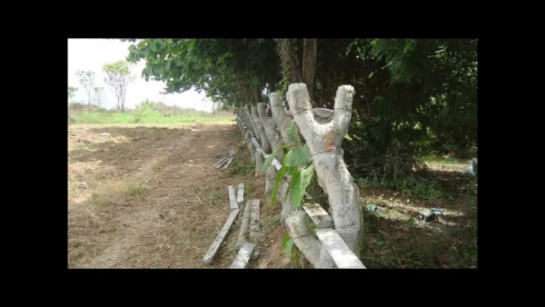 ขายที่ดินพร้อมบ้านพัก ภบท 5 ครอบครอง มา 20 ปี จำนวน 13 ไร่ เป็นรีสอรท์ มีบ้านพัก 6 หลัง บ้าน ☝ซับไทรทอง ต. วังนำ้เขียว อ.วังนำ้เขียว จ.นครราชสีมา ขายไร่ละ 1 ล้านบาท บรรยากาศดีมากๆครับ ติดต่อ 0889419663