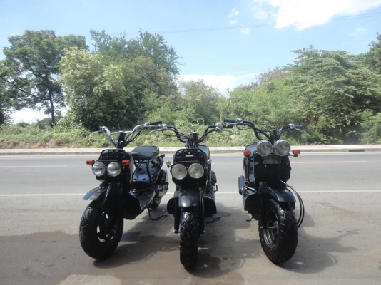 ขาย zoomer50 ปี 2001 ประกอบใหม่