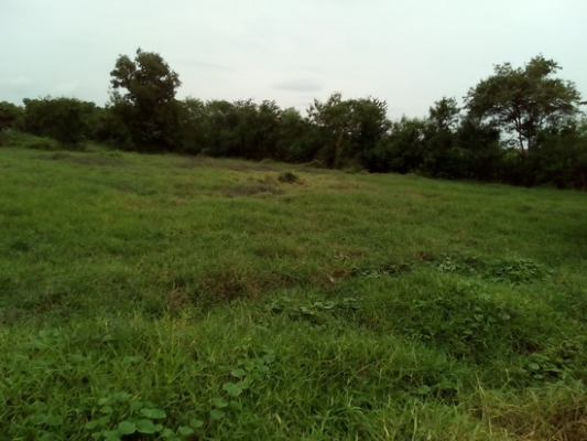 ขายด่วนที่ดินทำเลทอง 26-2-0 ไร่ ราคา 8.5 ล้านบาทต่อไร่ ติดถนนหทัยราษฏร์ (มีนบุรี) ขายด่วนที่ดินทำเลทอง 26-2-0 ไร่ ราคา 8.5 ล้านบาทต่อไร่ ติดถนนหทัยราษฏร์ (มีนบุรี)