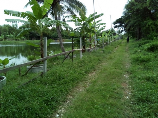 ขายด่วนที่ดินทำเลทอง 26-2-0 ไร่ ราคา 8.5 ล้านบาทต่อไร่ ติดถนนหทัยราษฏร์ (มีนบุรี) ขายด่วนที่ดินทำเลทอง 26-2-0 ไร่ ราคา 8.5 ล้านบาทต่อไร่ ติดถนนหทัยราษฏร์ (มีนบุรี)