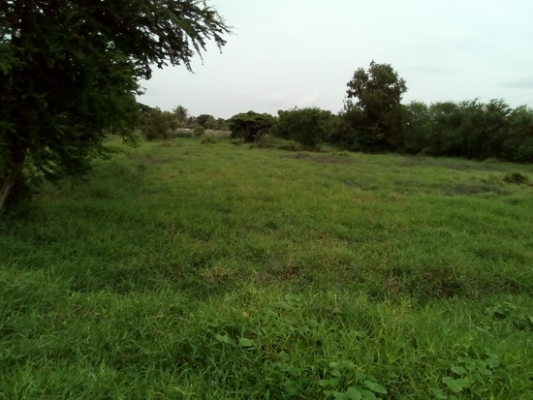 ขายด่วนที่ดินทำเลทอง 26-2-0 ไร่ ราคา 8.5 ล้านบาทต่อไร่ ติดถนนหทัยราษฏร์ (มีนบุรี) ขายด่วนที่ดินทำเลทอง 26-2-0 ไร่ ราคา 8.5 ล้านบาทต่อไร่ ติดถนนหทัยราษฏร์ (มีนบุรี)