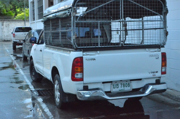 ขาย TOYOTA HILUX VIGO 2.5 J Standard ปี 2005