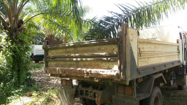 ขายรถชุด 3 คัน 1.CAT 315D 8000 ชม.เอกสารอินวอย 2.ISUZU FRR 210 แรงม้าปี 2554 ไมล์ 170000 กม.3.ISUZU FRR 190 แรงม้าปี 2554 ไมล์ 140000 กม.ราคา 3300000