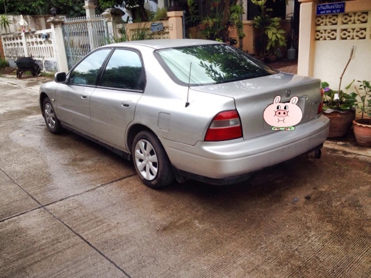 ขายรถหรูราคาบ้านๆ HONDA ACCORD 1995 ขายรถหรูราคาบ้านๆ HONDA ACCORD 1995