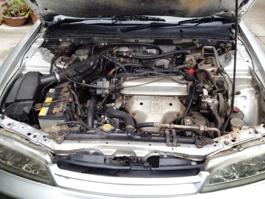 ขายรถหรูราคาบ้านๆ HONDA ACCORD 1995 ขายรถหรูราคาบ้านๆ HONDA ACCORD 1995