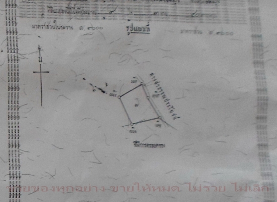 ขายที่ดิน บางละมุง ชลบุรี