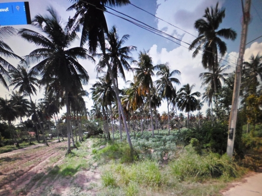 ขายที่ดิน บางละมุง ชลบุรี